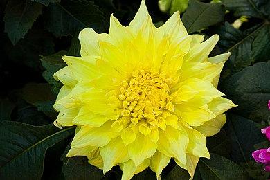 《生化危机9》进化揭秘：真实演出、双重视角与浣熊市的重生