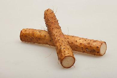 弹幕游戏《红莲四羽：世界爆破》今年12月登陆PC